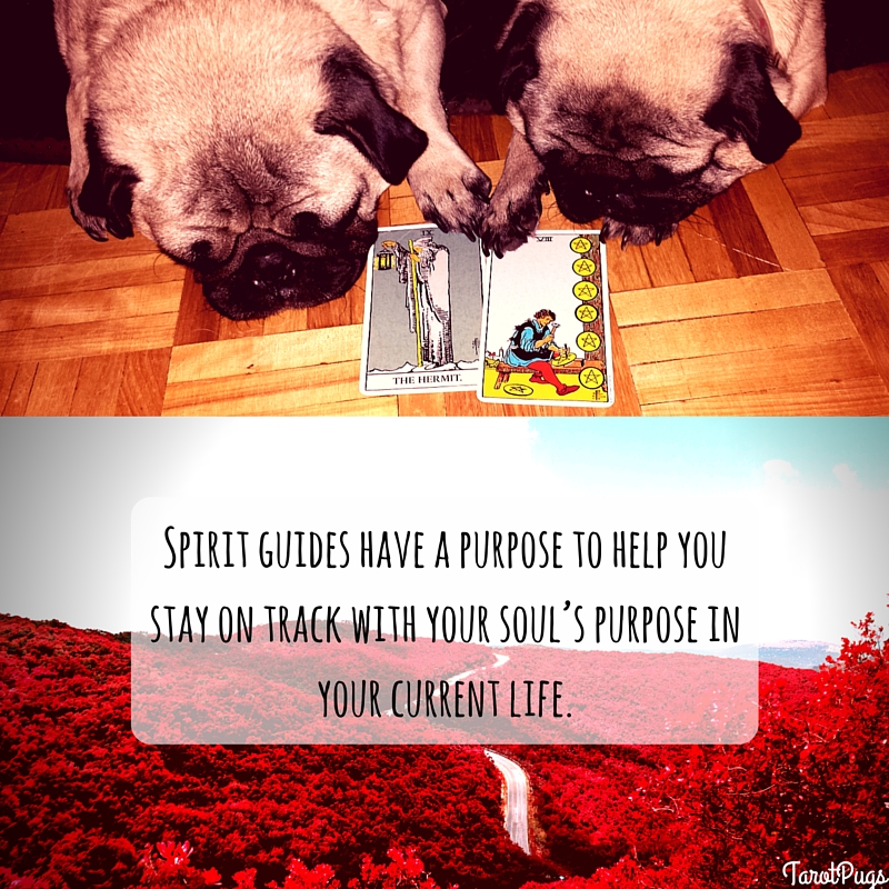 tarotpugs spirit guides 2