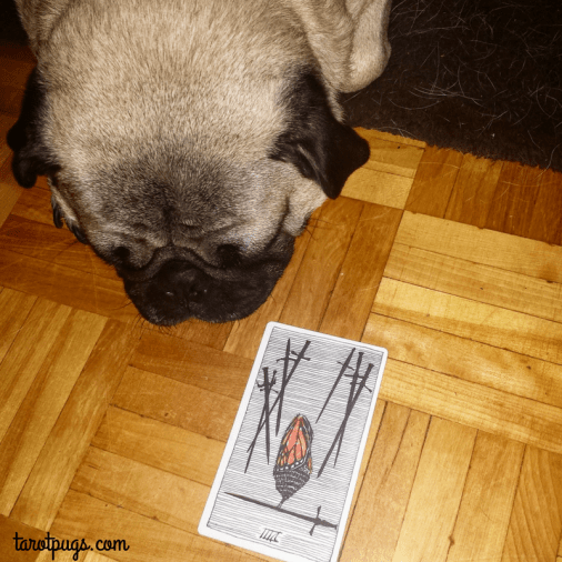 wild-unknown-tarot-pugs-eight-swords