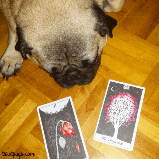 wild-unknown-tarot-pugs-five-pentacles-empress