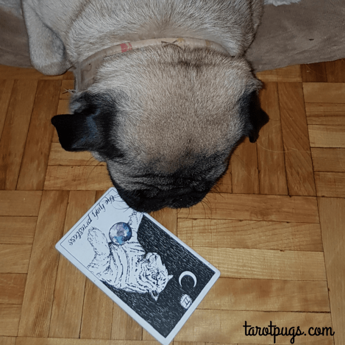 High Priestess Wild Unknown Tarot Pugs.png
