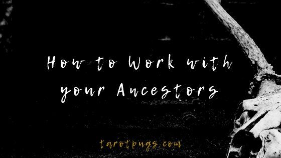 Learn how to work with your ancestors in magick and witchcraft.