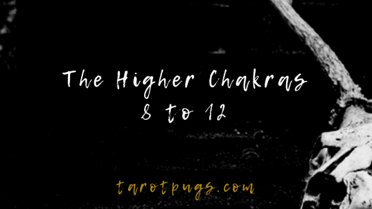 Learn how to access the higher chakras to get clear psychic and spirit messages, access the Akashic Records and more.