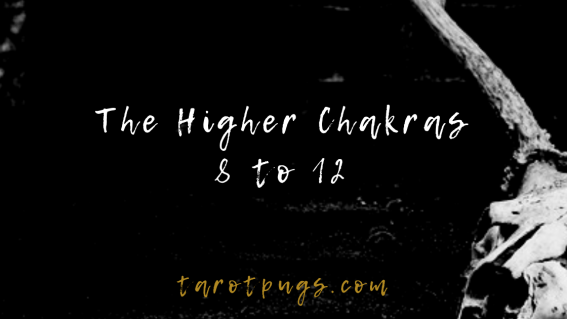 Learn how to access the higher chakras to get clear psychic and spirit messages, access the Akashic Records and more.