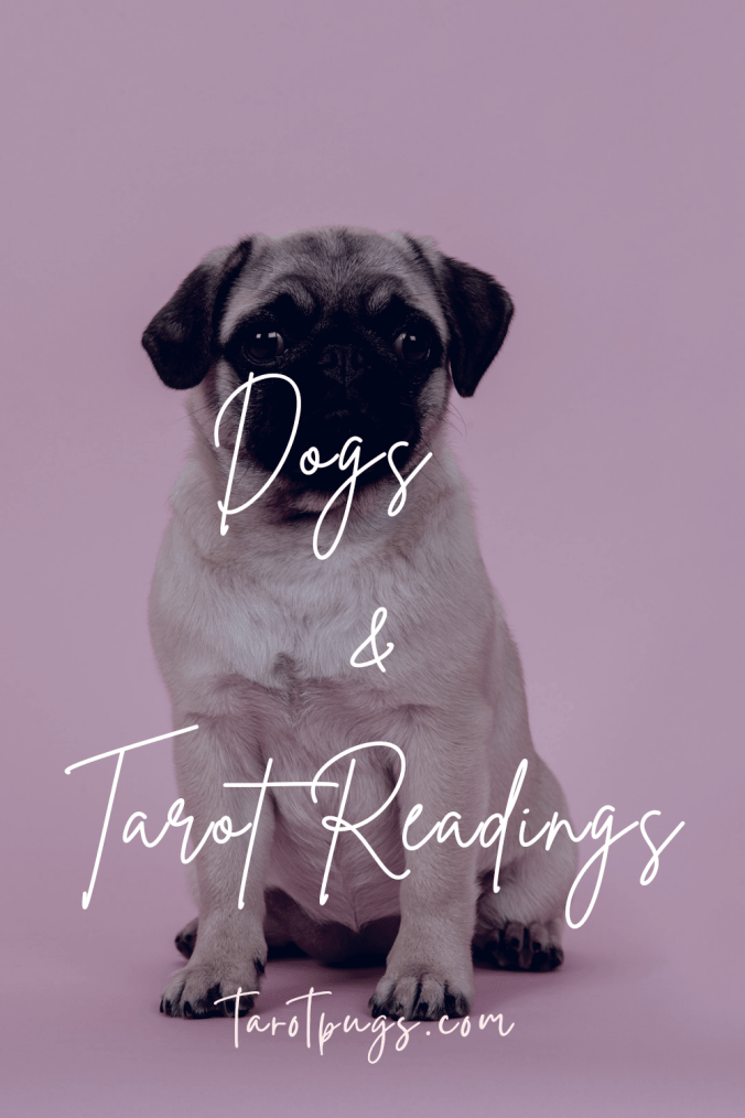 Learn how to do tarot readings for your dog and get a free Dogs & Tarot Workbook!