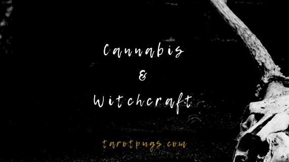 Find out about the use of cannabis in witchcraft.