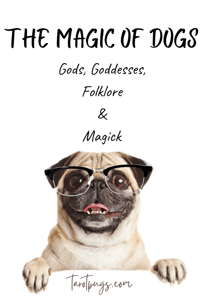 Dogs are pure magic! Learn about the gods and goddesses of dogs and the folklore and the magic of dogs in spirituality and witchcraft.